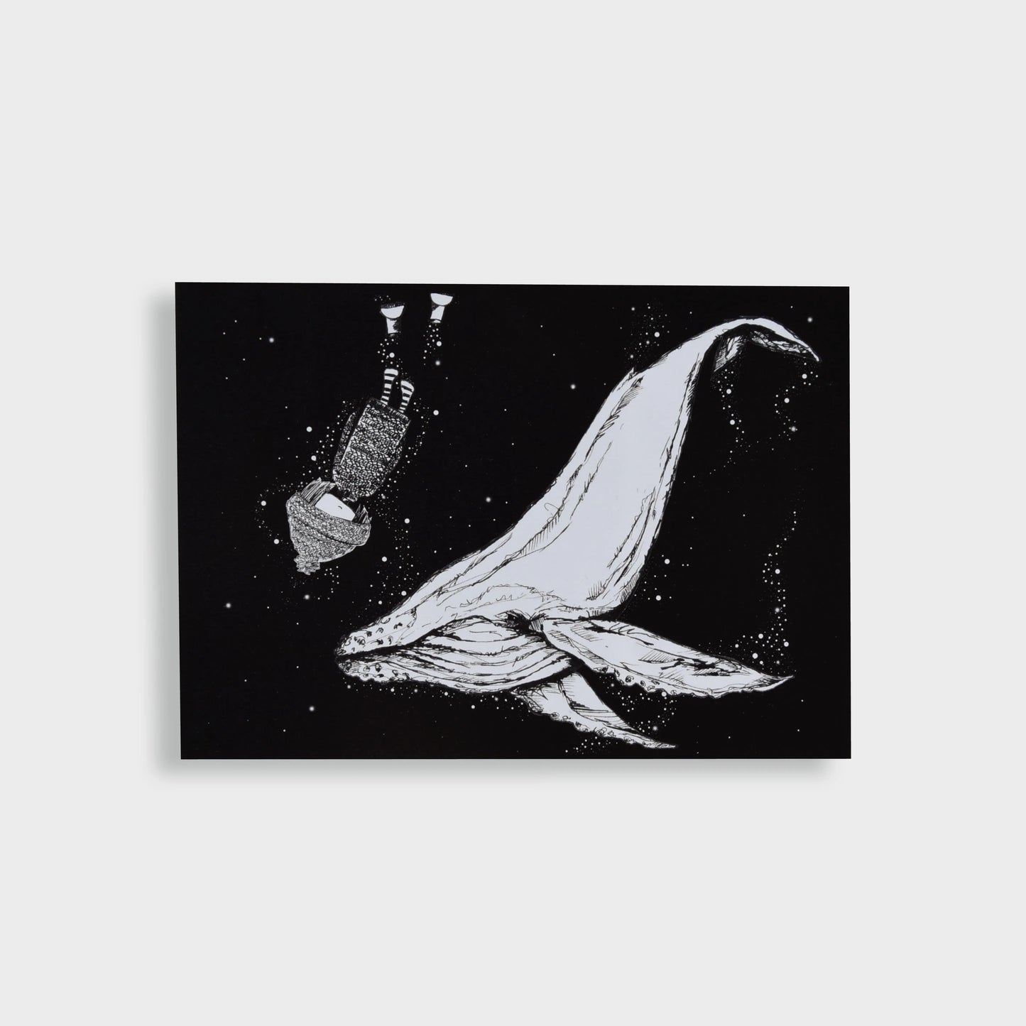 Postkarte "Wal Olafúr" - mayamond