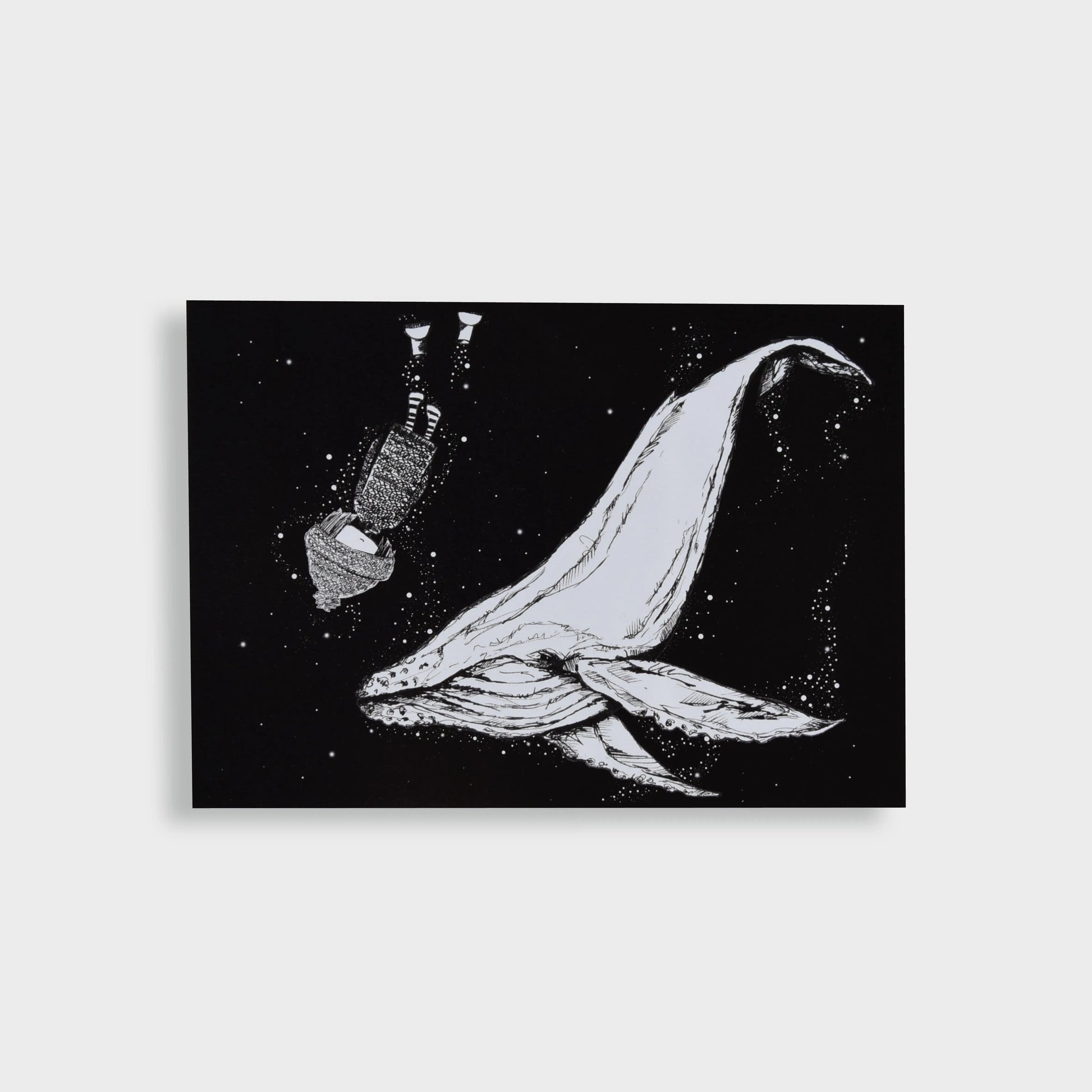 Postkarte "Wal Olafúr" - mayamond
