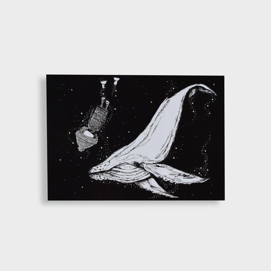 Postkarte "Wal Olafúr" - mayamond