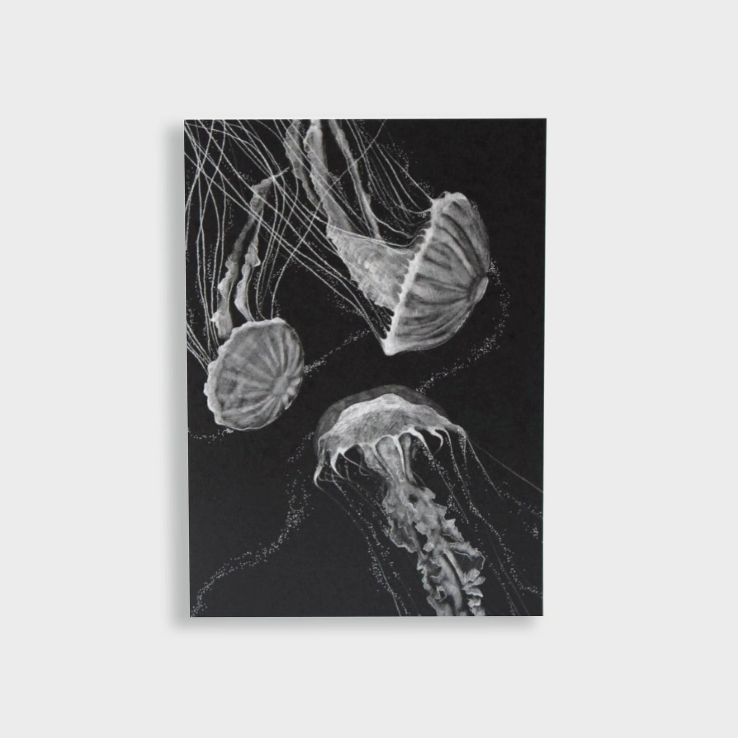 Postkarte "Quallen" - mayamond