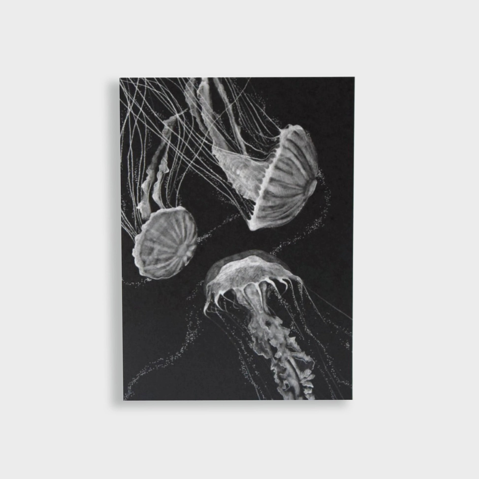 Postkarte "Quallen" - mayamond