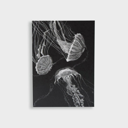 Postkarte "Quallen" - mayamond