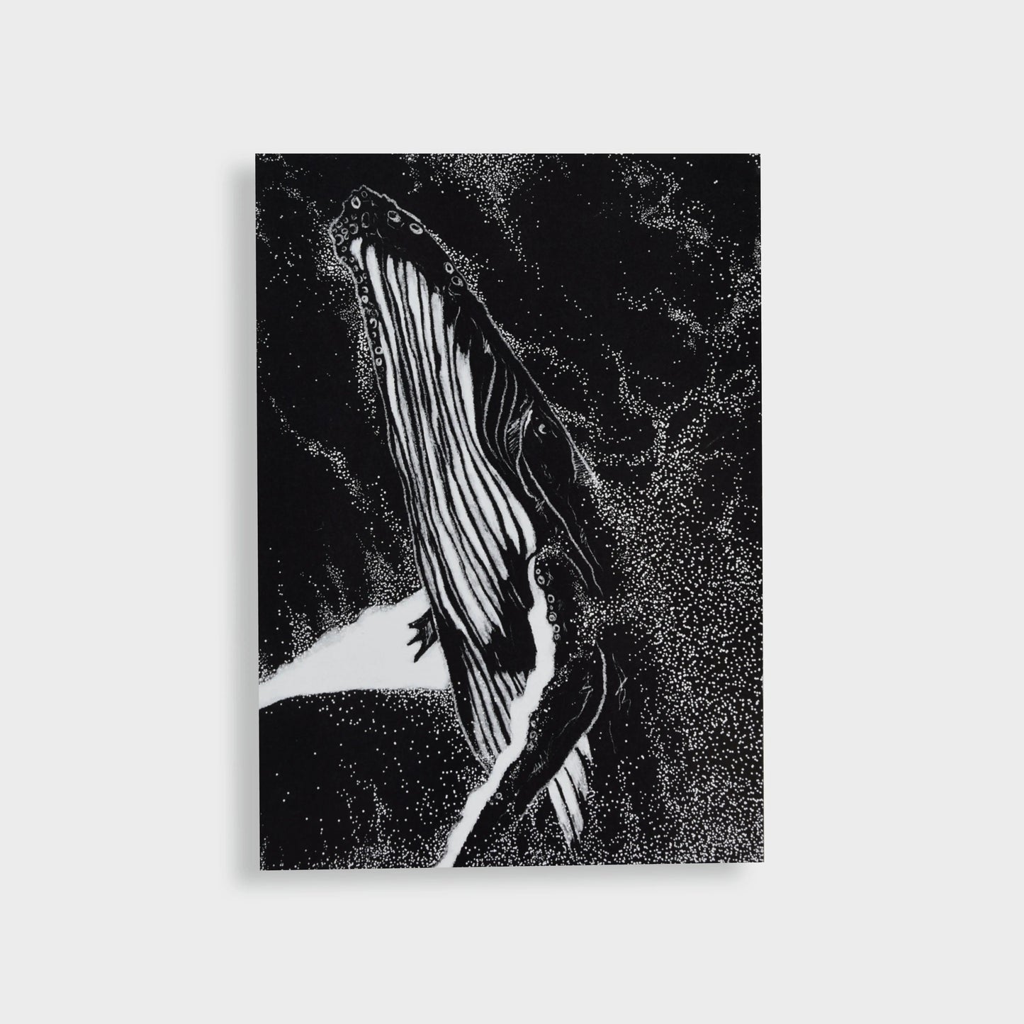 Postkarte "Wal auftauchend" - mayamond