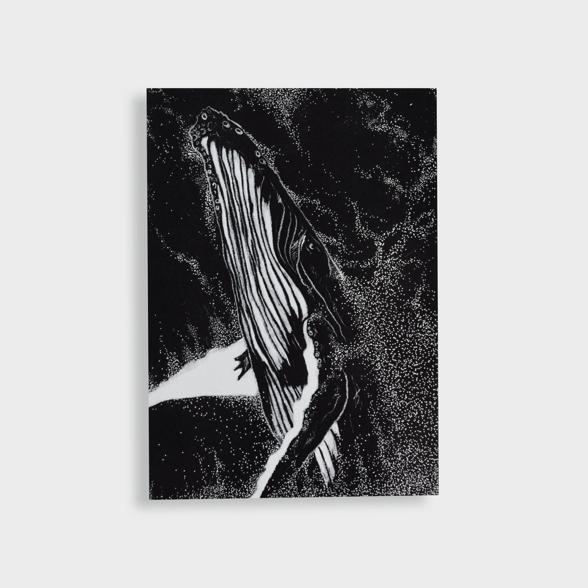 Postkarte "Wal auftauchend" - mayamond