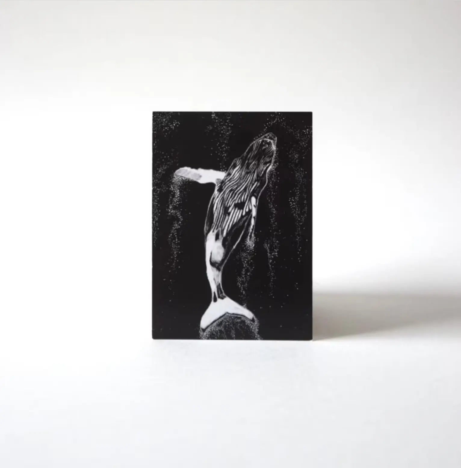 Postkarten Wale 4er Set - mayamond