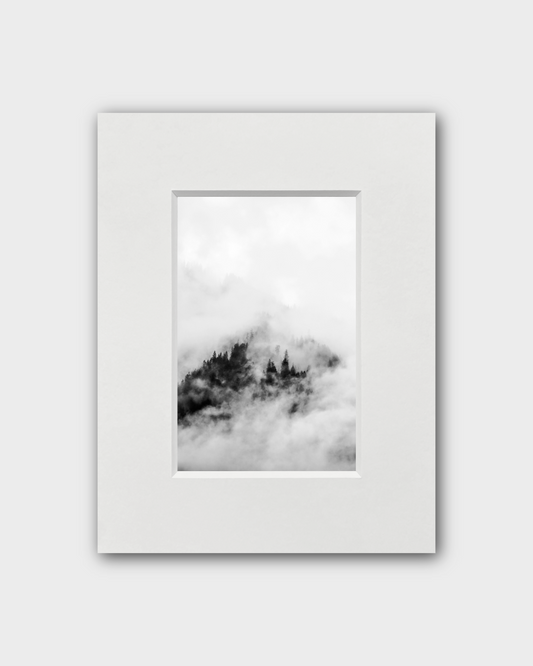 Fotografie Nebelwald - Anna Fiederling Mein Shop