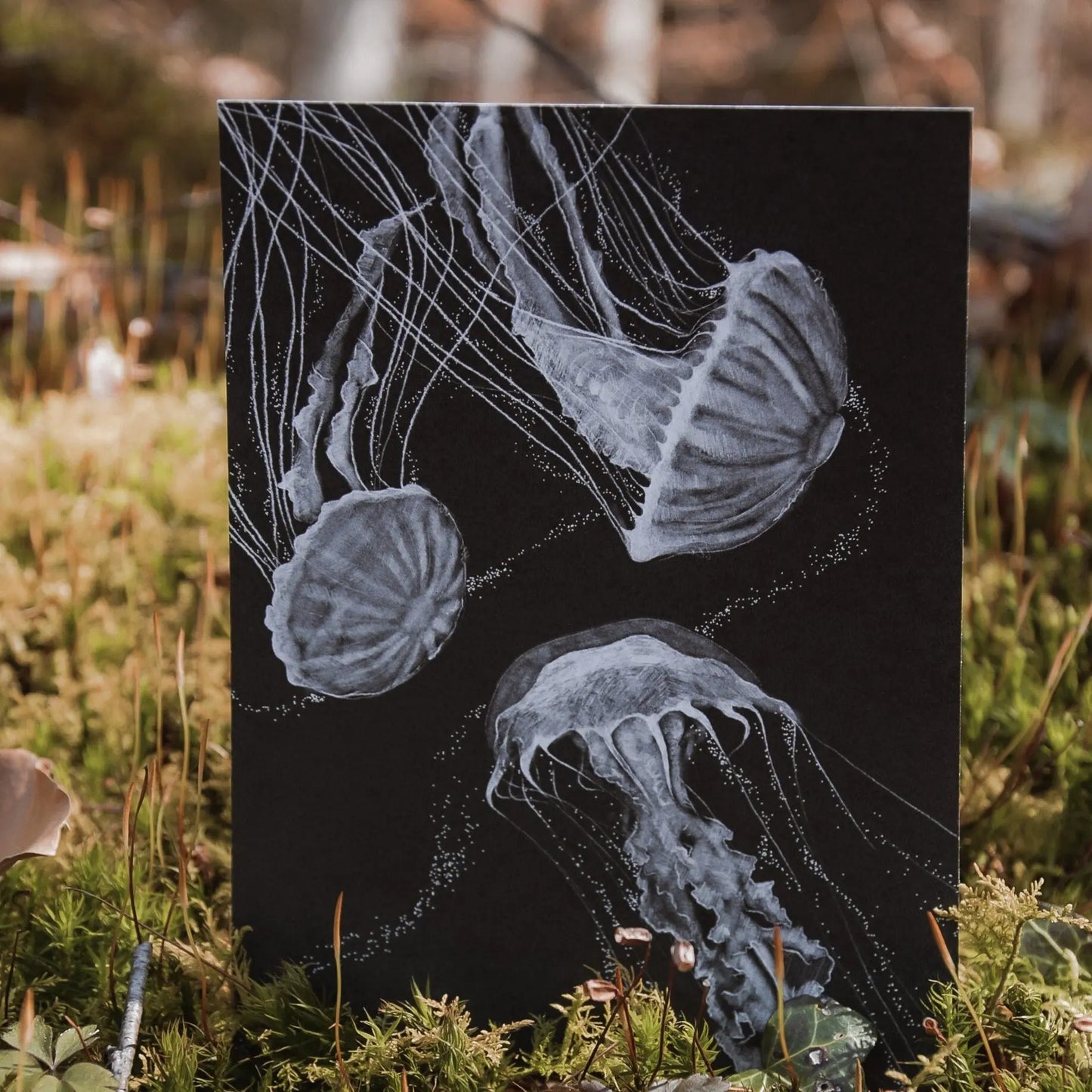 Postkarte "Quallen" - mayamond