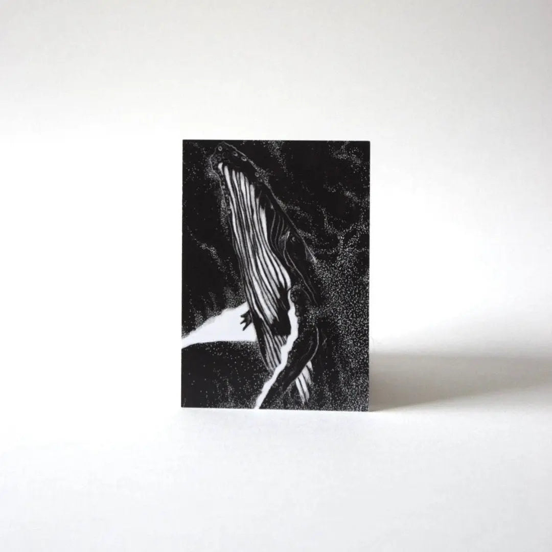 Postkarten Wale 4er Set - mayamond