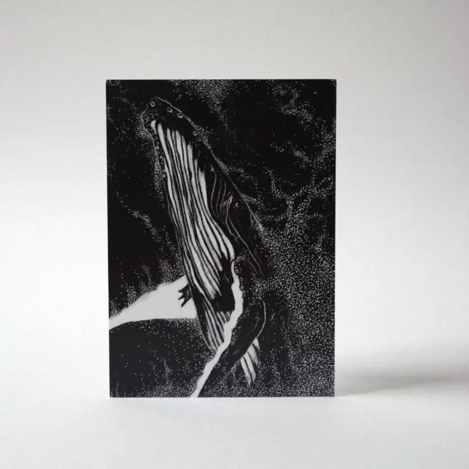 Postkarte "Wal auftauchend" - mayamond