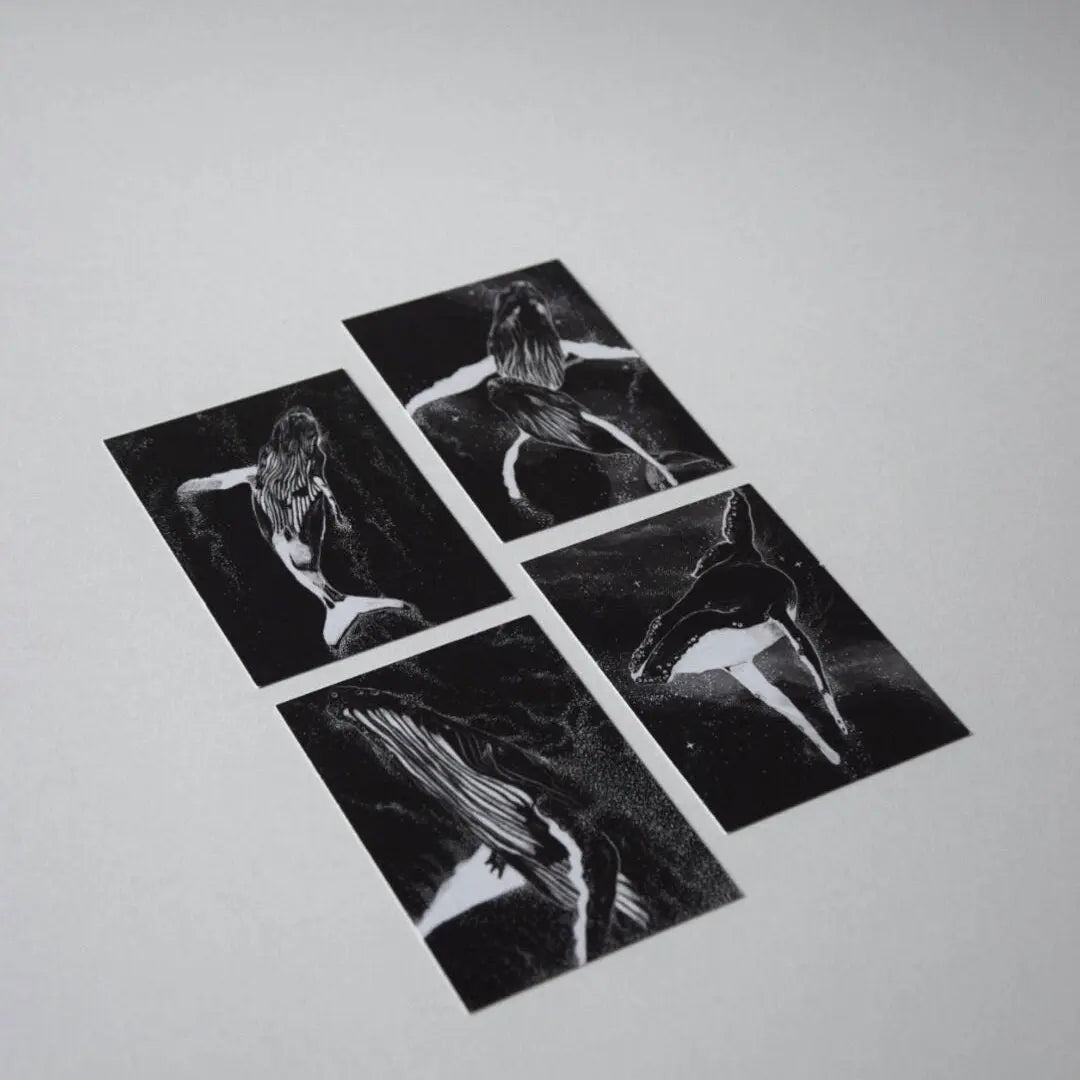 Postkarten Wale 4er Set - mayamond
